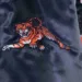 Auburn-Tigers-Blue-Jackets.jpg