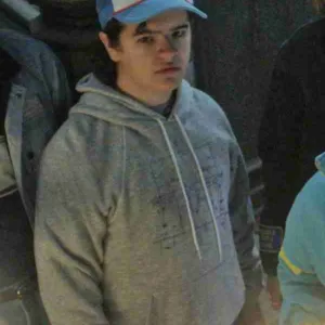 Stranger Things 4 Gaten Matarazzo Gray Hoodie